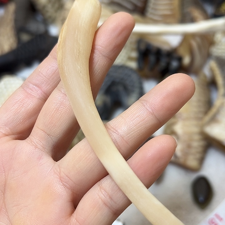 免压免煮经络按摩梳