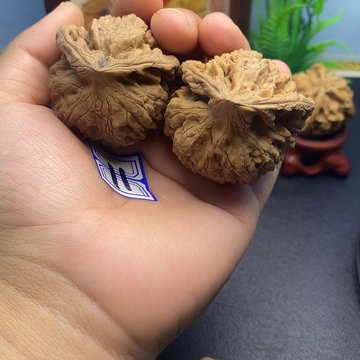 文玩核桃把件兔兔