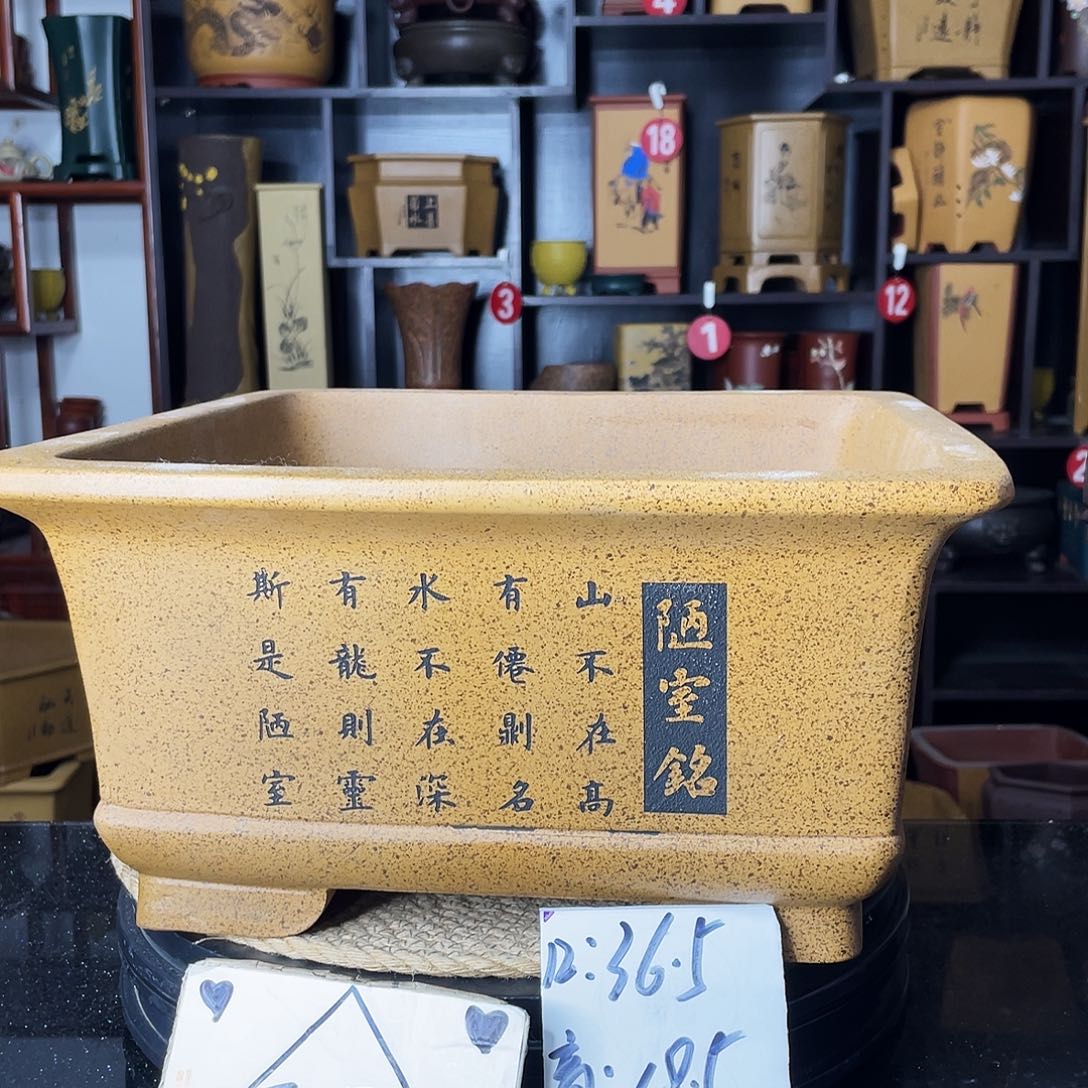 紫砂紫砂艺术紫砂工艺