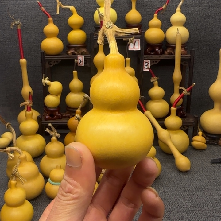 z***w天然精品文玩葫芦