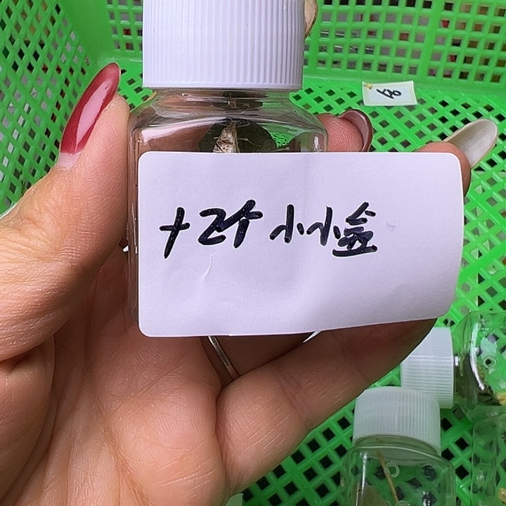 蓝***轩哈哈哈哈哈哈哈哈哈哈哈哈哈哈