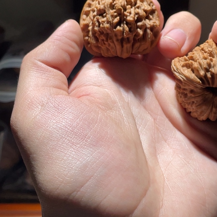 望***安文玩核桃把件40全品楼子