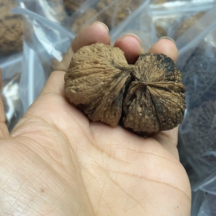 文玩核桃把件云南铁核桃基地45