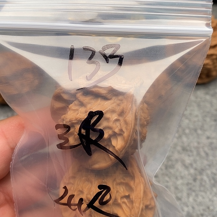 伍***w文玩核桃吊坠三棱