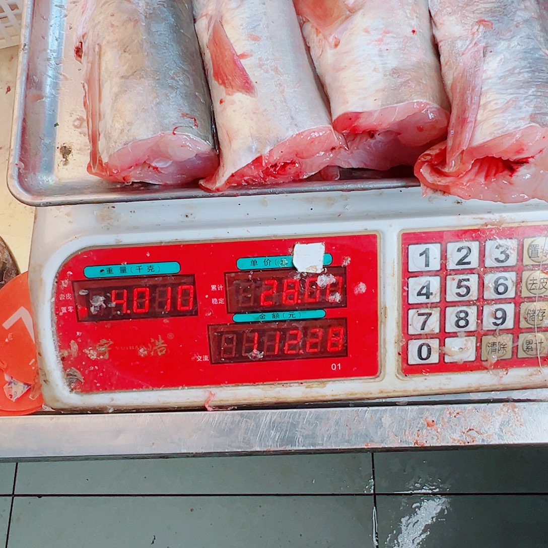 中国大陆四个鳗鱼头