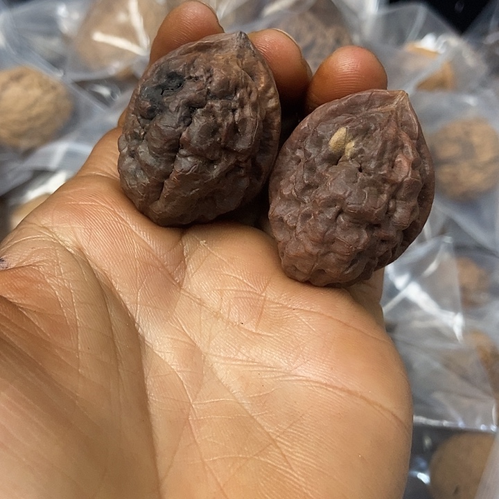 把件文玩核桃云南铁核桃基地3