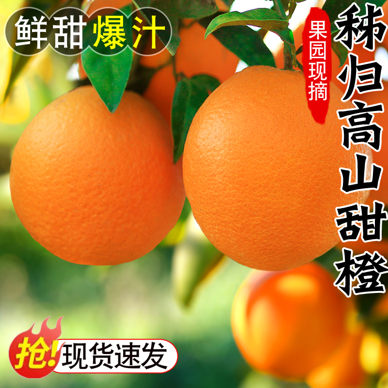 湖北秭归脐橙子新鲜水果当季5/9斤手剥冰糖橙超甜现摘果冻橙大