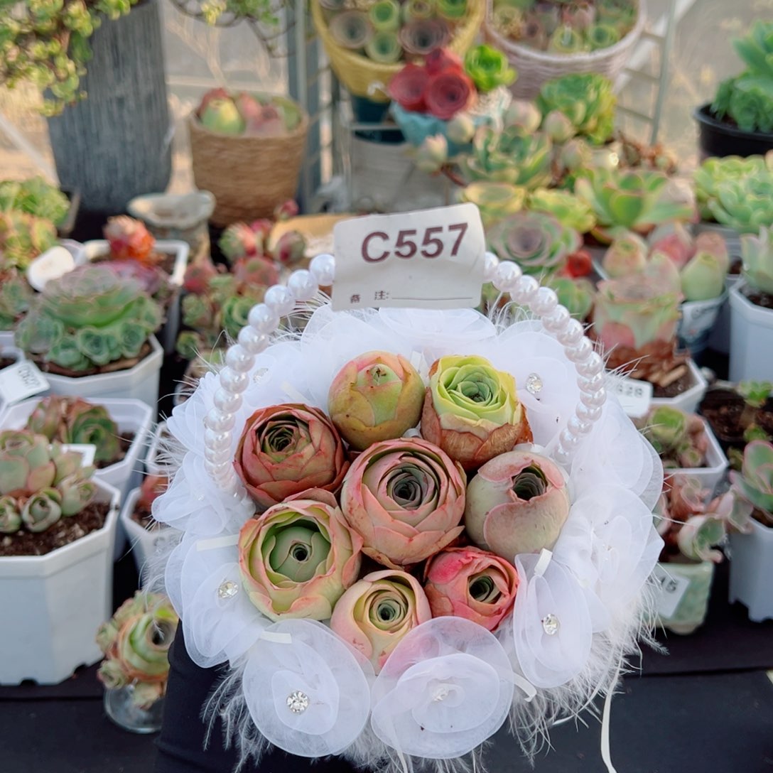 雪****557春日来信精品混色包子组合小花篮。  一物一拍