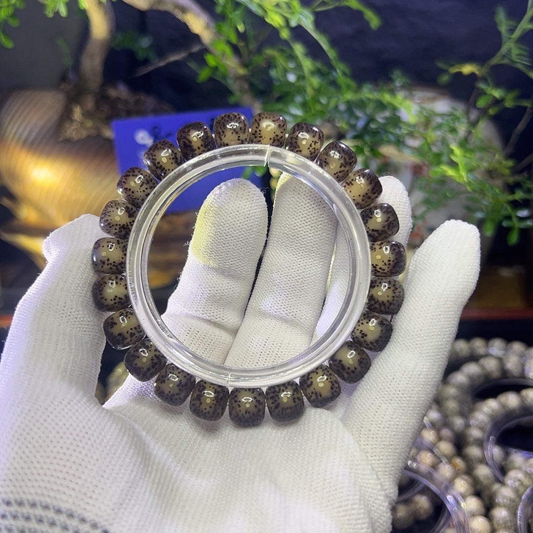 星月菩提手串海南原生态