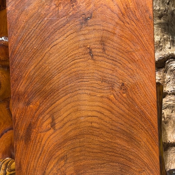 孤***狼香榧木缅甸木木木木木木