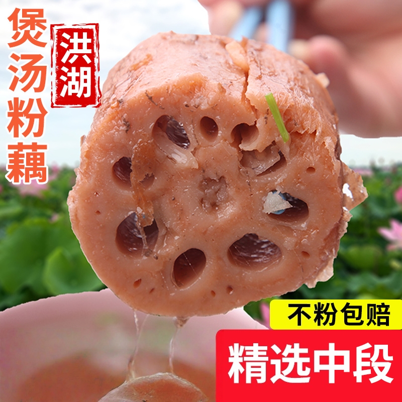正宗洪湖莲藕新鲜煲汤粉藕现挖湖藕面藕红藕湖北特产泥藕