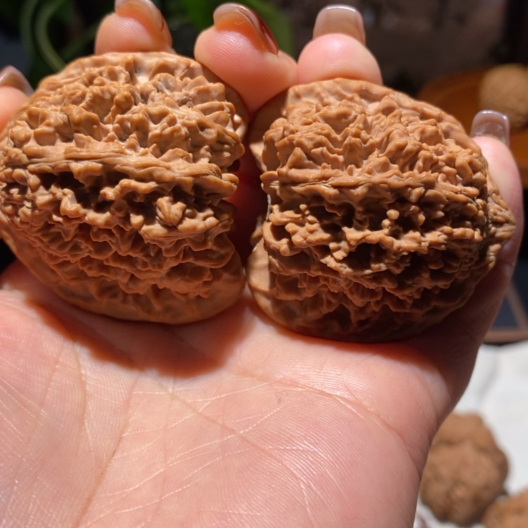 文玩核桃把件桥**叔帅星星天残