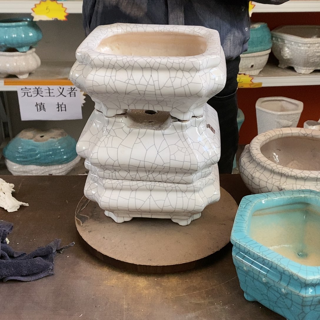 瑕疵花盆里装满鲜花