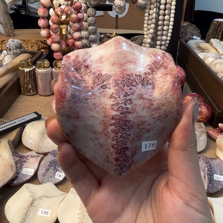 晓***玥养殖梅花鹿三界牌