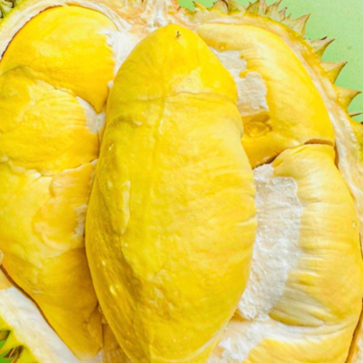 泰国金枕榴莲带壳整果约3.5-6斤新鲜水果 核小软糯香甜泰国金枕榴莲同城送金枕