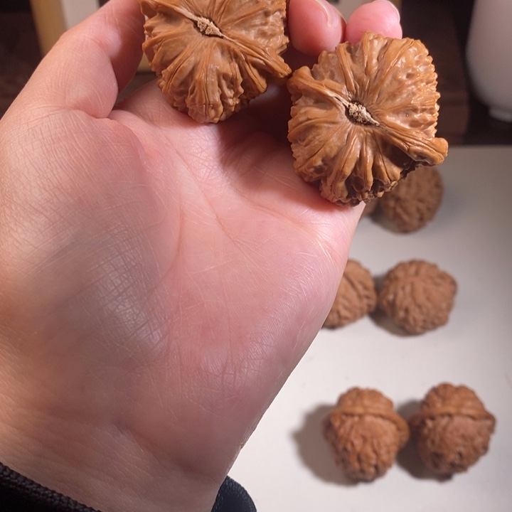 文玩核桃吊坠白狮子