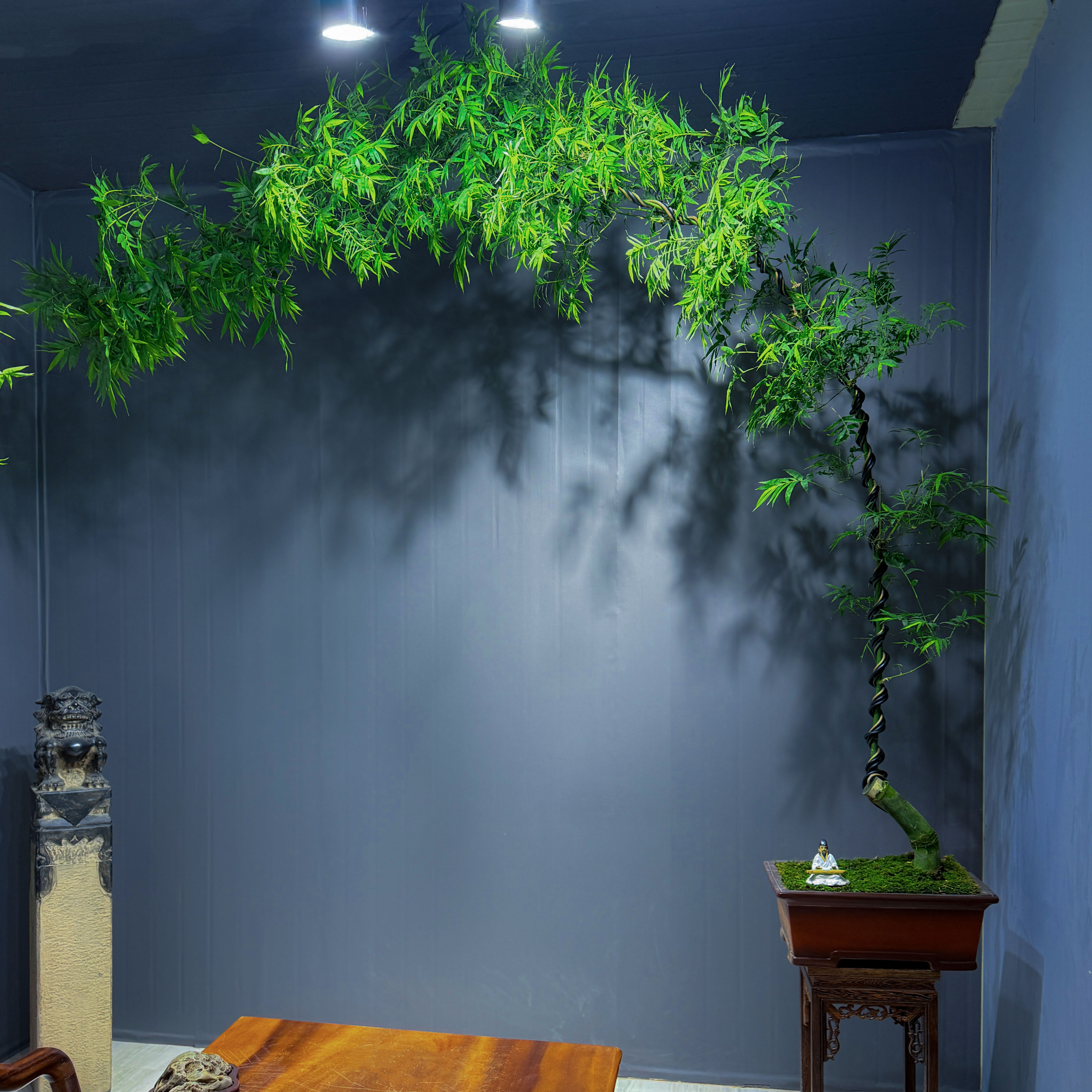 中式复古紫砂簕竹盆景#一款美到您心巴上的高级意境感的簕竹盆景。