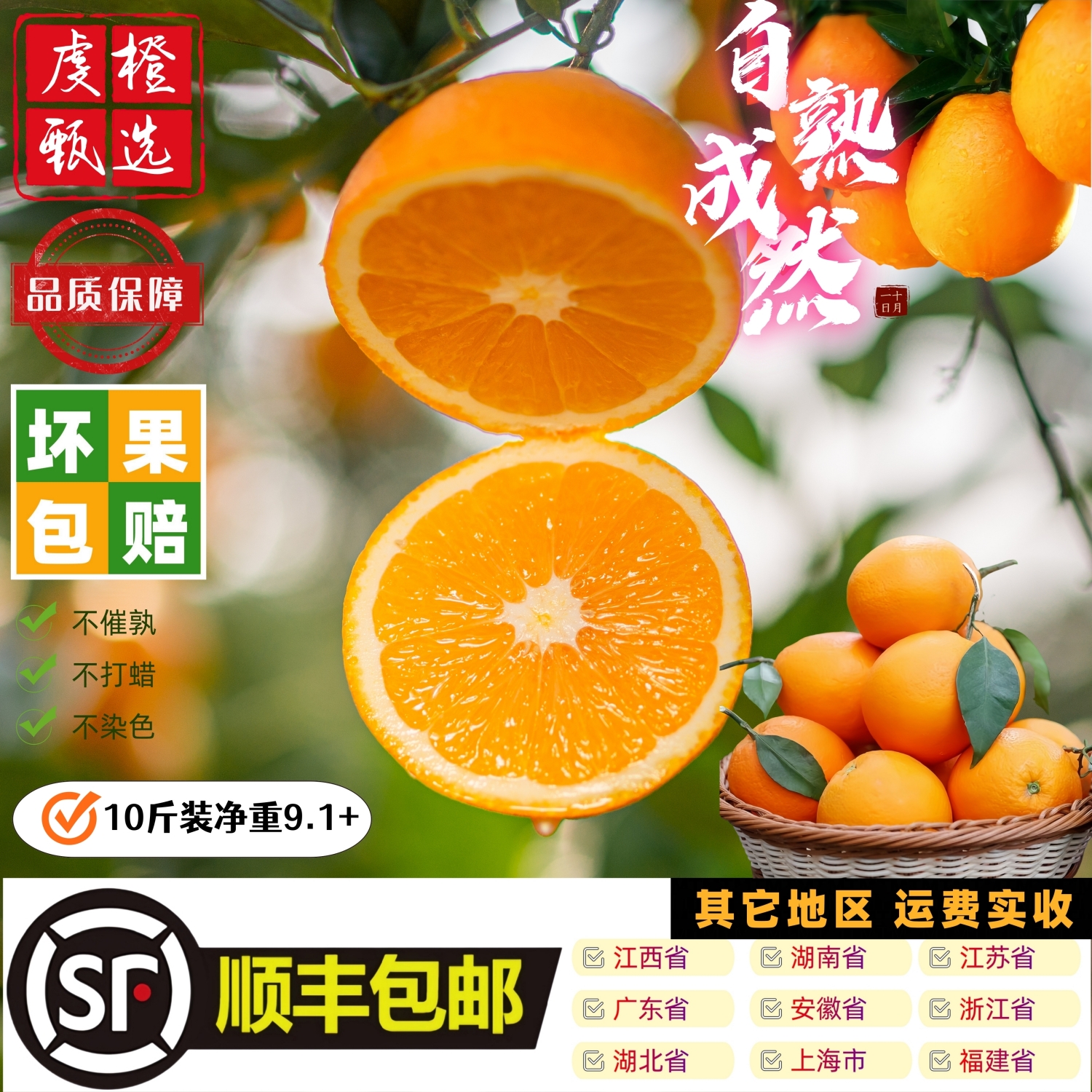 顺丰发货【正宗赣南脐橙】10斤现摘新鲜香甜多汁应季水果纽荷尔脐橙