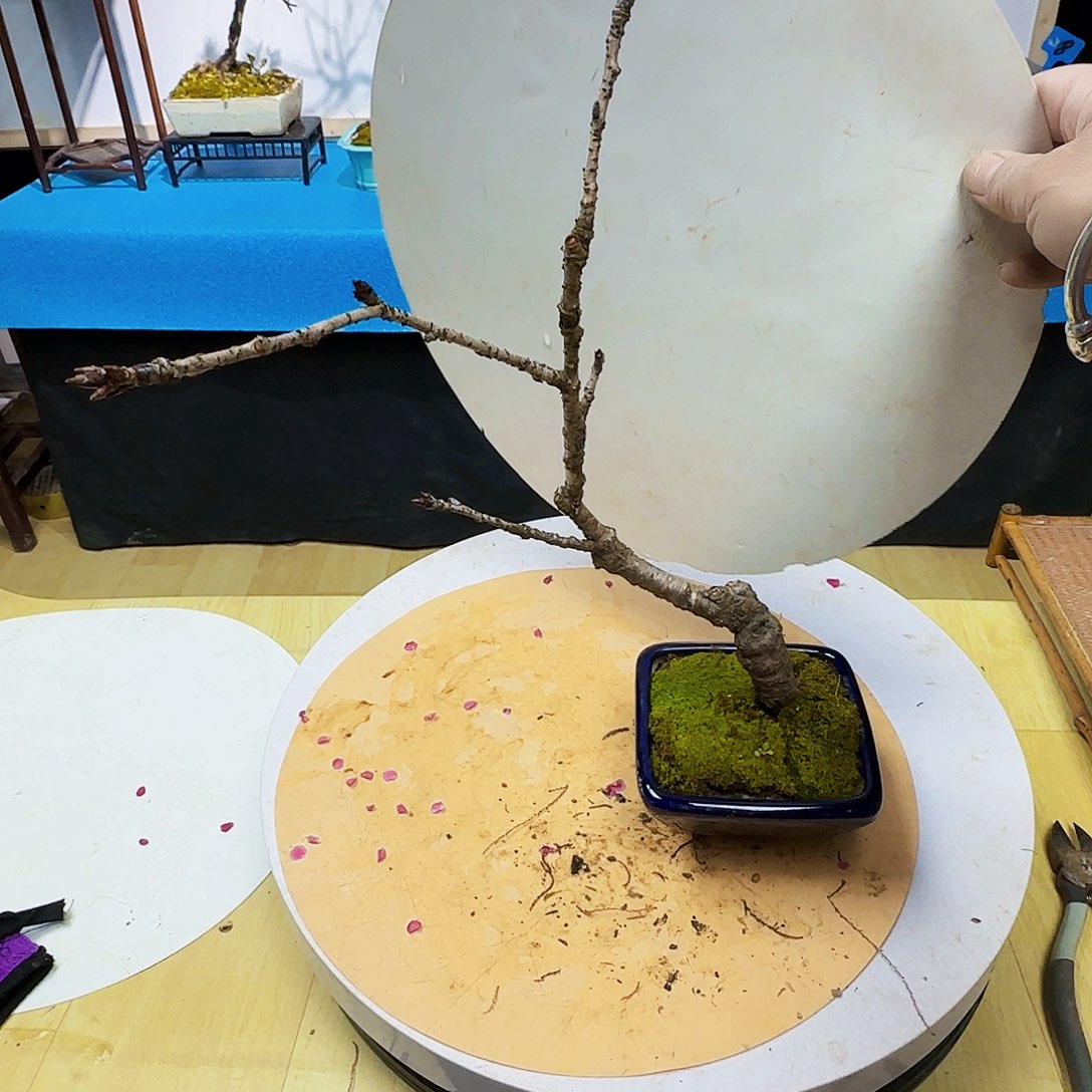 红陶s****ud f h j k l l