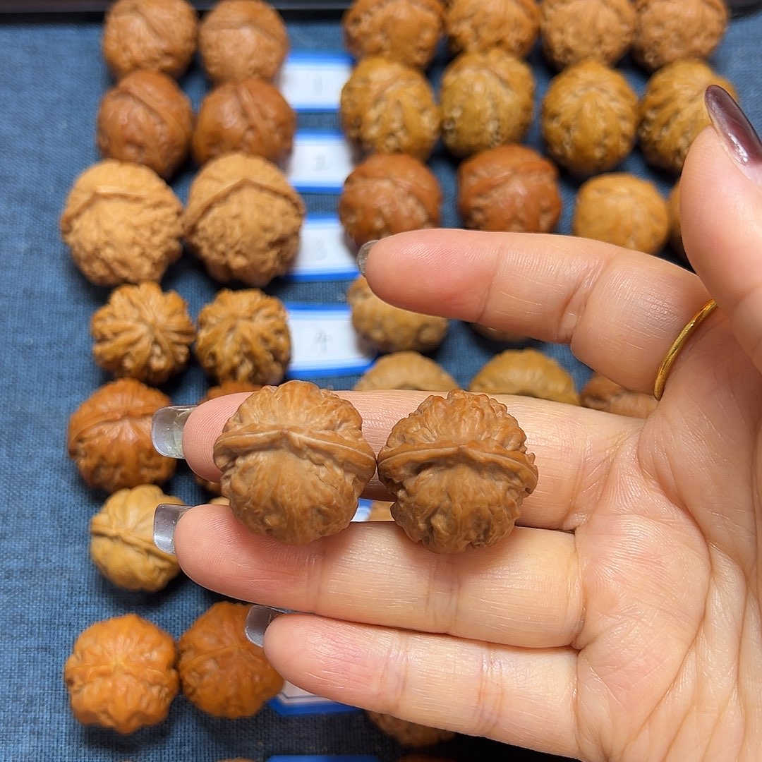 吊坠文玩核桃粗筋霸王龙25尺全品无修