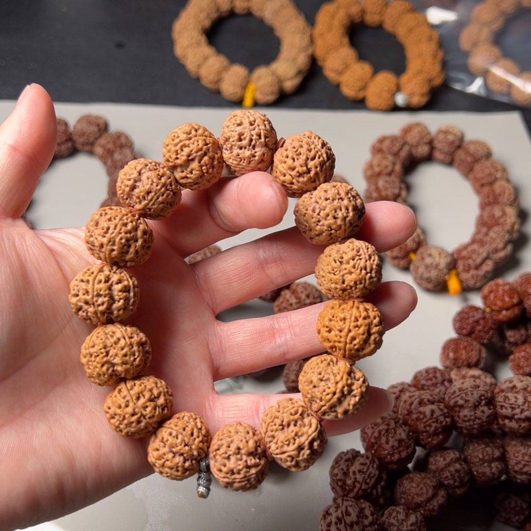 金刚菩提手串盼20尺寸树王