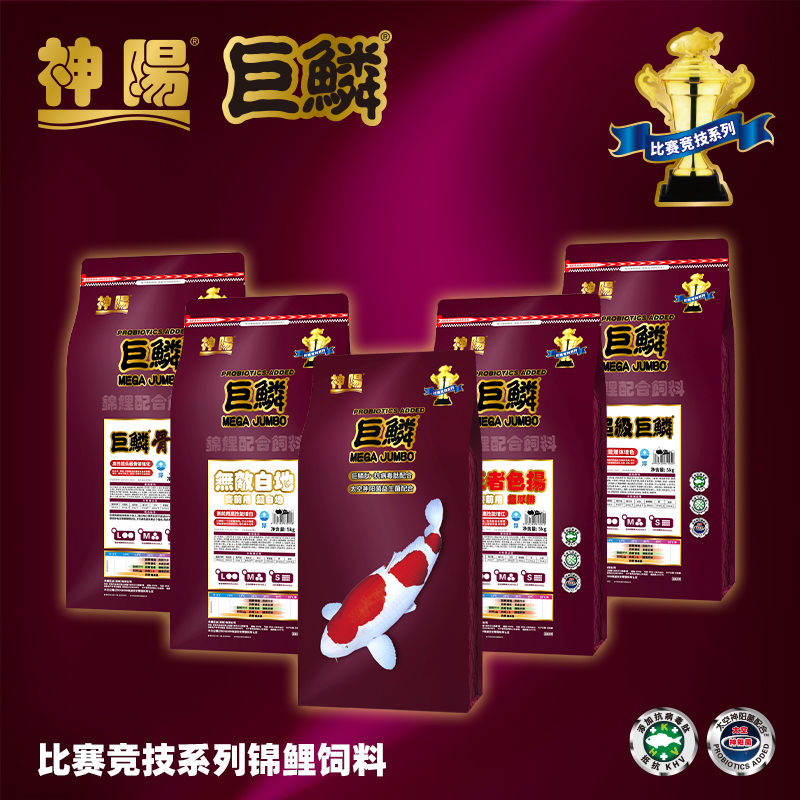 神阳巨鳞系列锦鲤鱼粮育成专用增体艳红骨霸锦鲤饲料观赏鱼粮