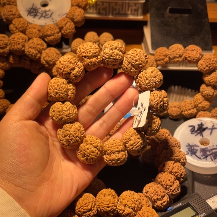 白***城手串金刚菩提这个