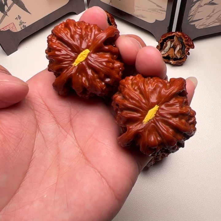 43尺。白狮子 全品