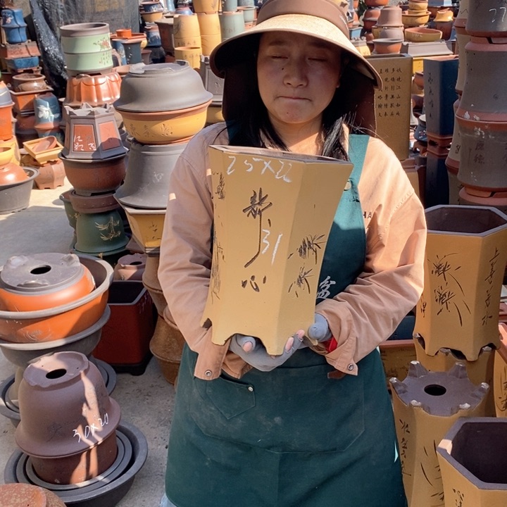 紫砂花盆盆栽花卉苗木种植