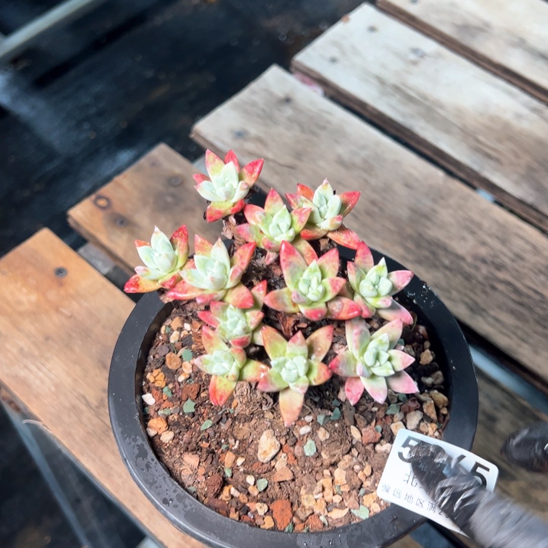 5860哈哈哈哈哈哈哈