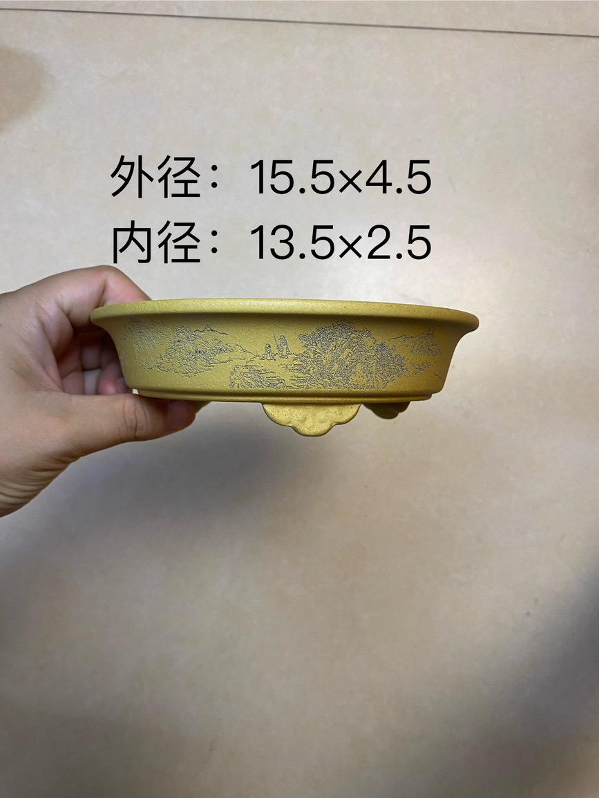 宜兴紫砂花盆黄段泥浅圆刻绘