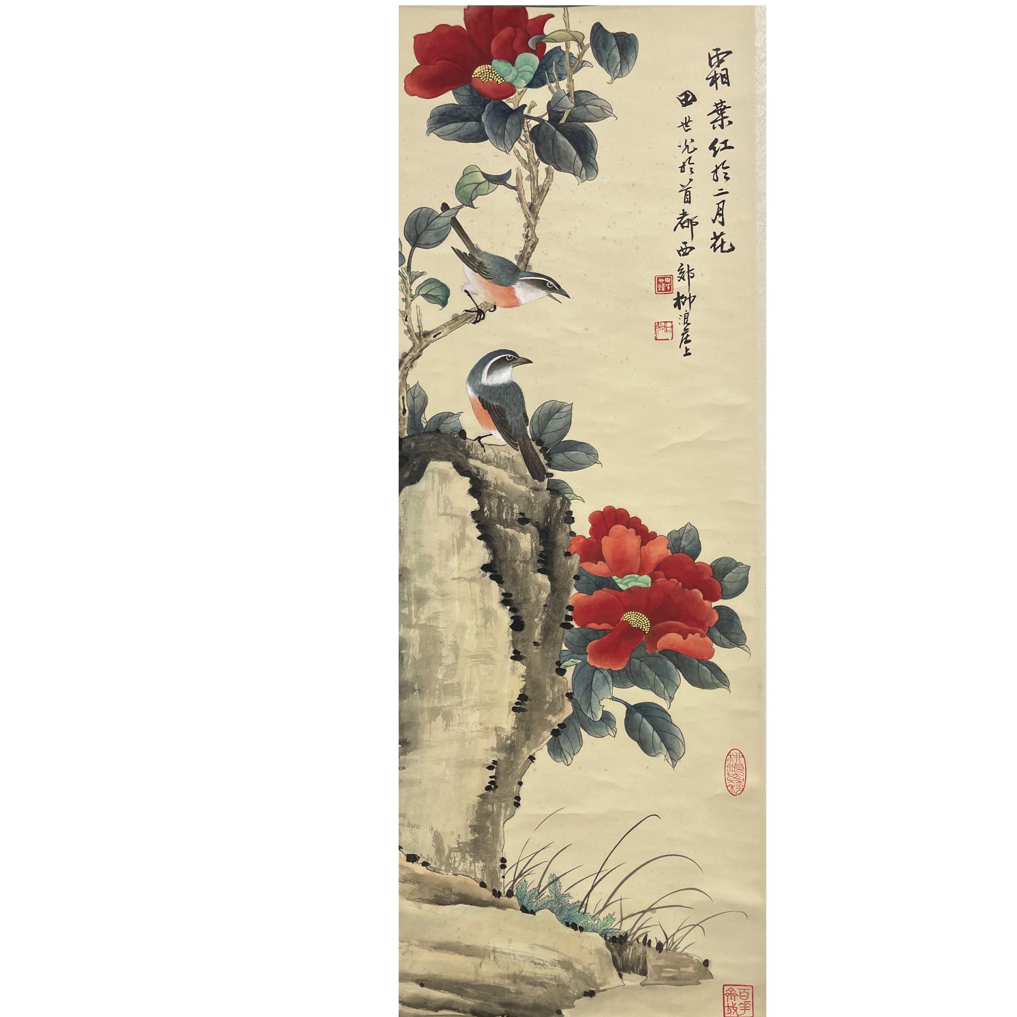 田世光 花鸟立轴 34*99cm 约3平尺