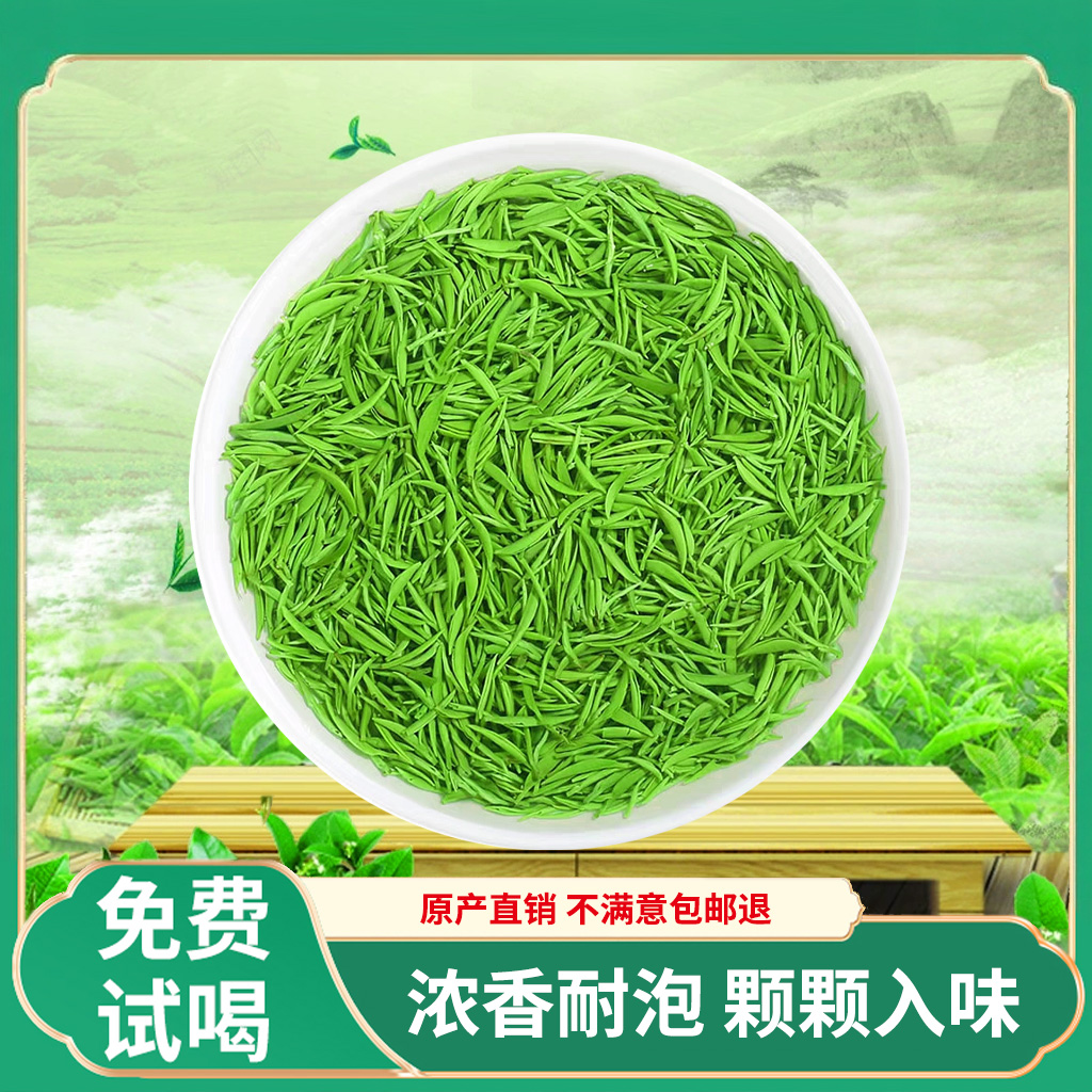 【买半斤送半斤】信阳毛尖2025今年新茶绿茶浓香毛尖茶叶信阳毛尖