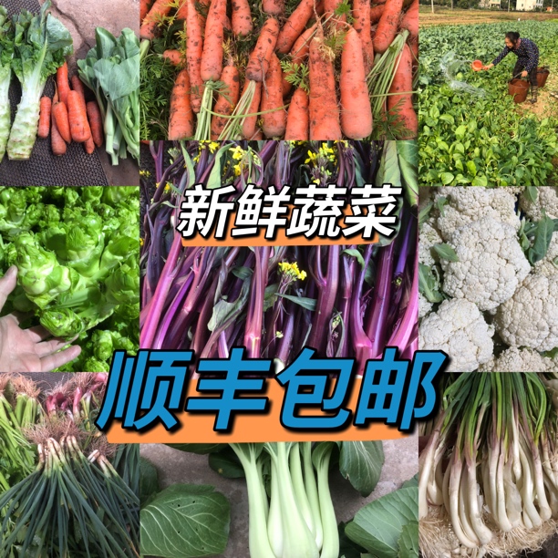 《顺丰包邮》衡阳农家自种当季时蔬 新鲜蔬菜 现摘现发
