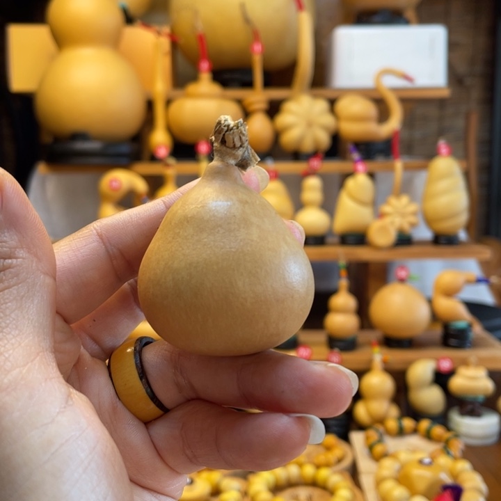 芝***G天然葫芦自然生长