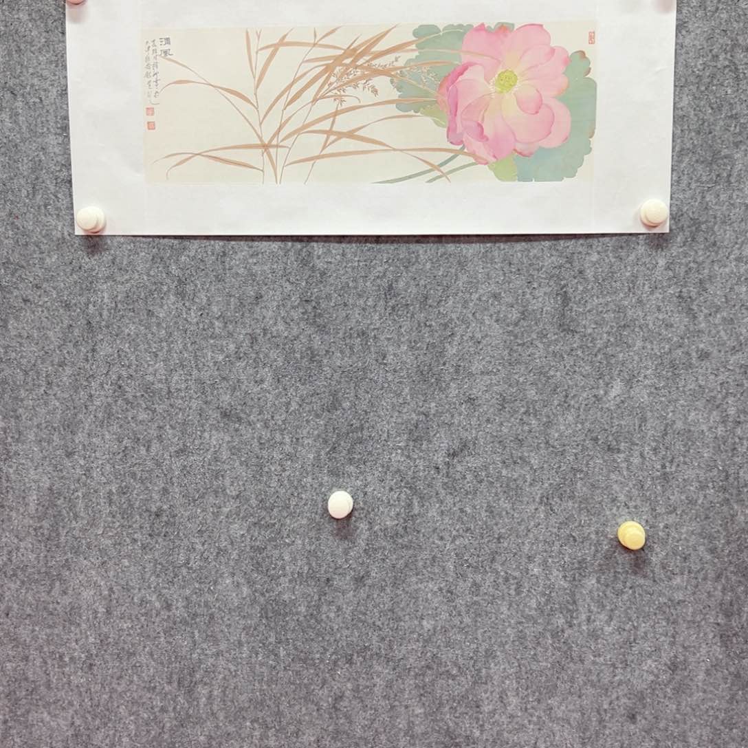 国画杨娜艺术精品