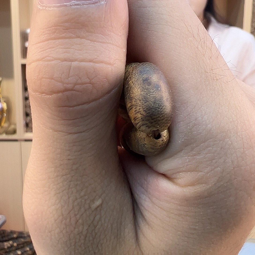 沉香沉香碎屑4克树钉