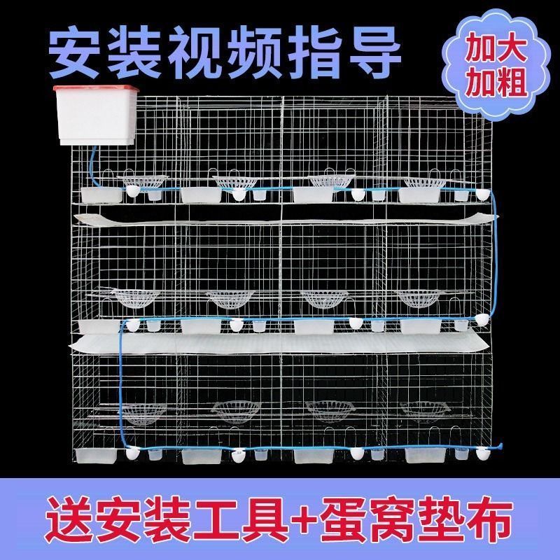 鸽子笼养殖繁殖配对笼大型家用鸽舍鸽棚鸽子专用组装笼特大号