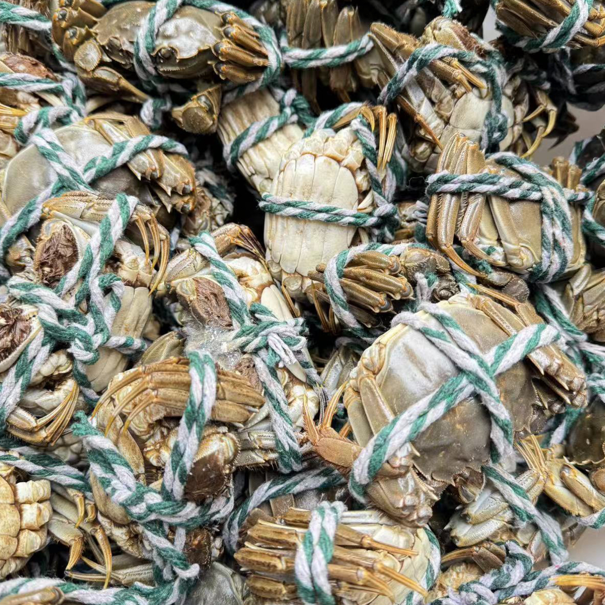 大闸蟹150g(3两）母蟹10只（大闸蟹）塘养