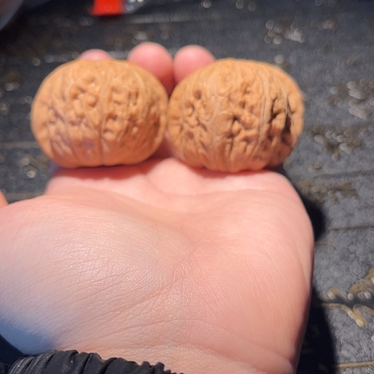 R***E手串/手链核桃41 元宝