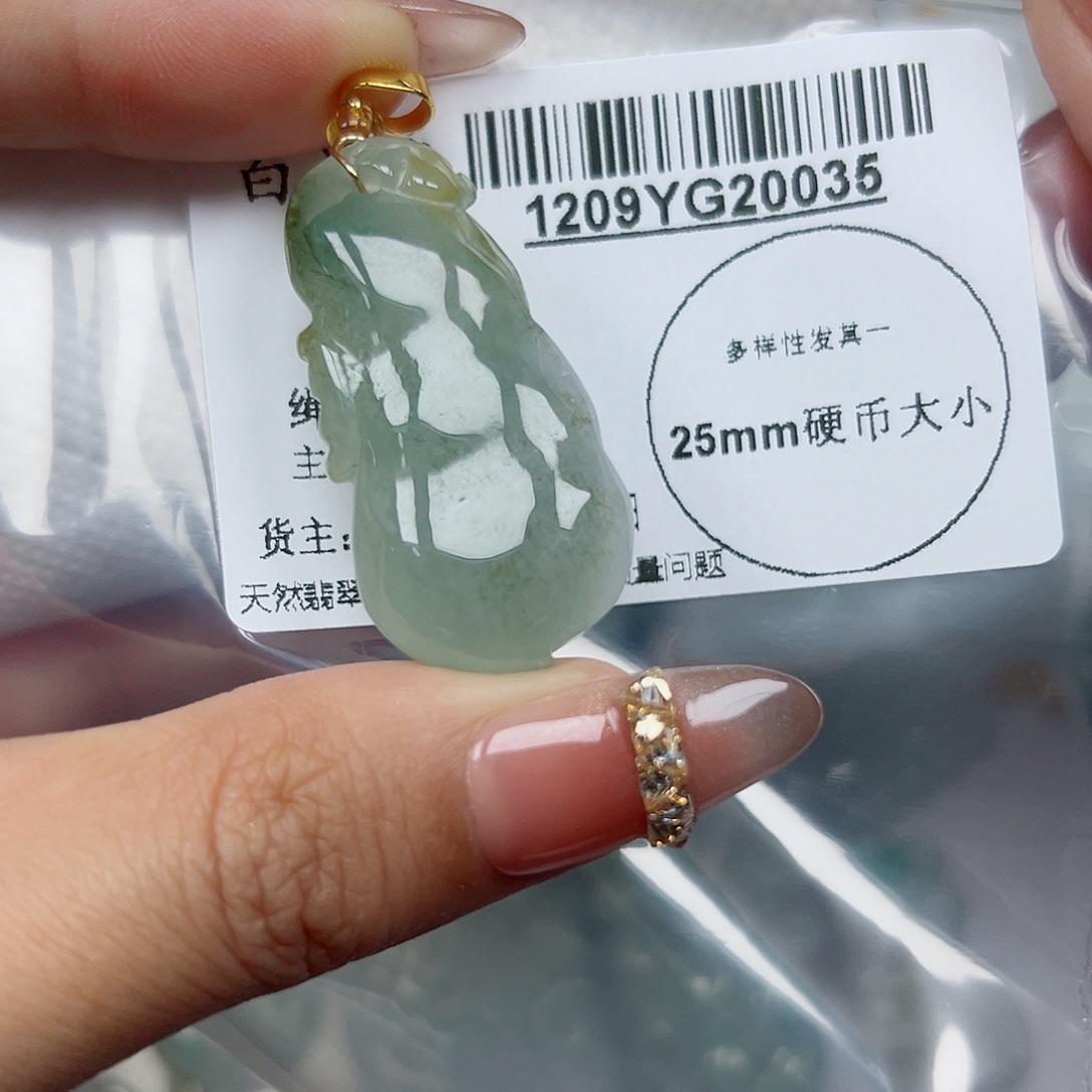 翡翠未镶嵌吊坠(不含链)