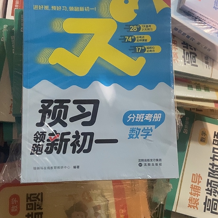 预习领跑新初一数学