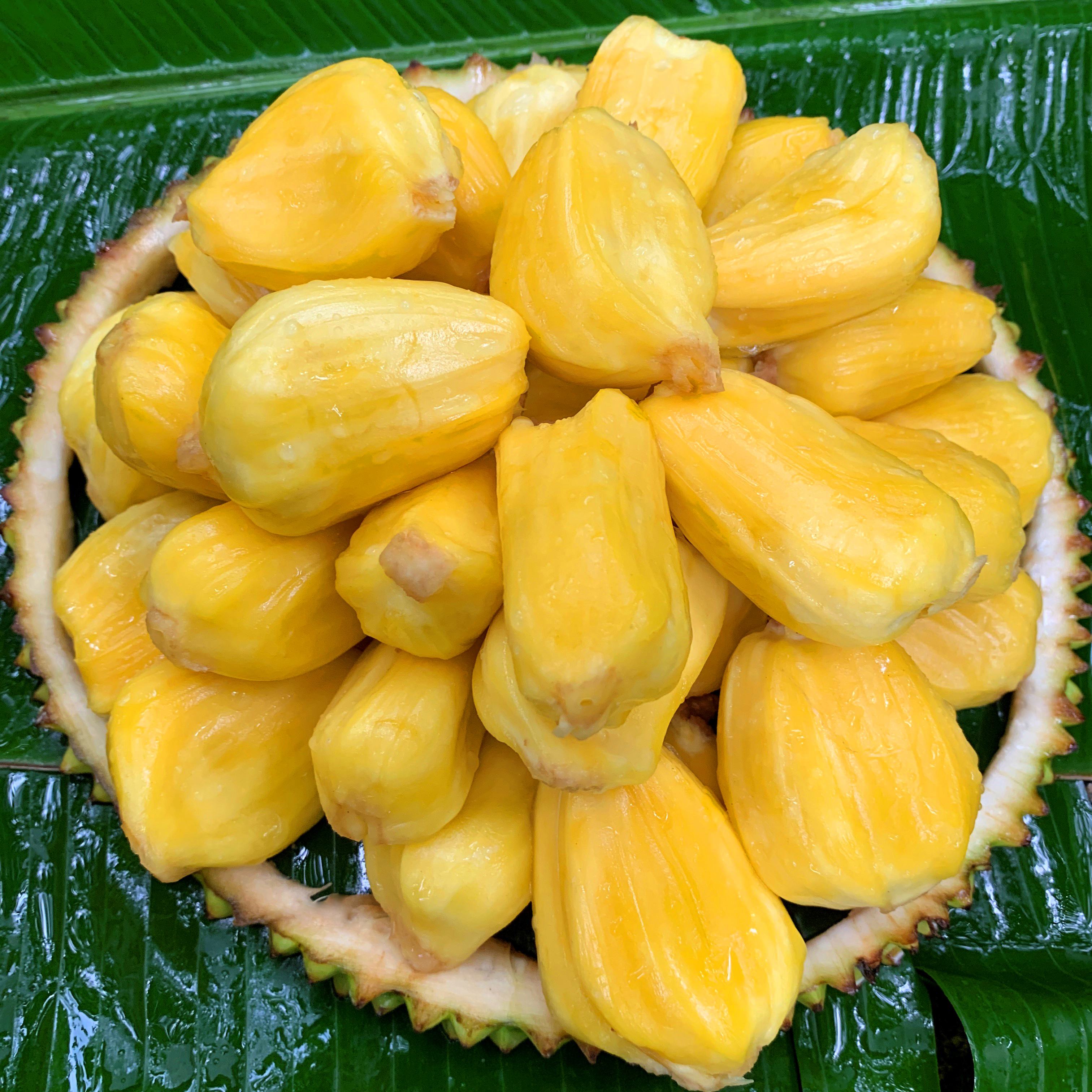 菠萝蜜8-13斤新鲜采摘整个发货果香浓郁鲜果发货干包黄肉干苞菠萝蜜越南社会主义共和国