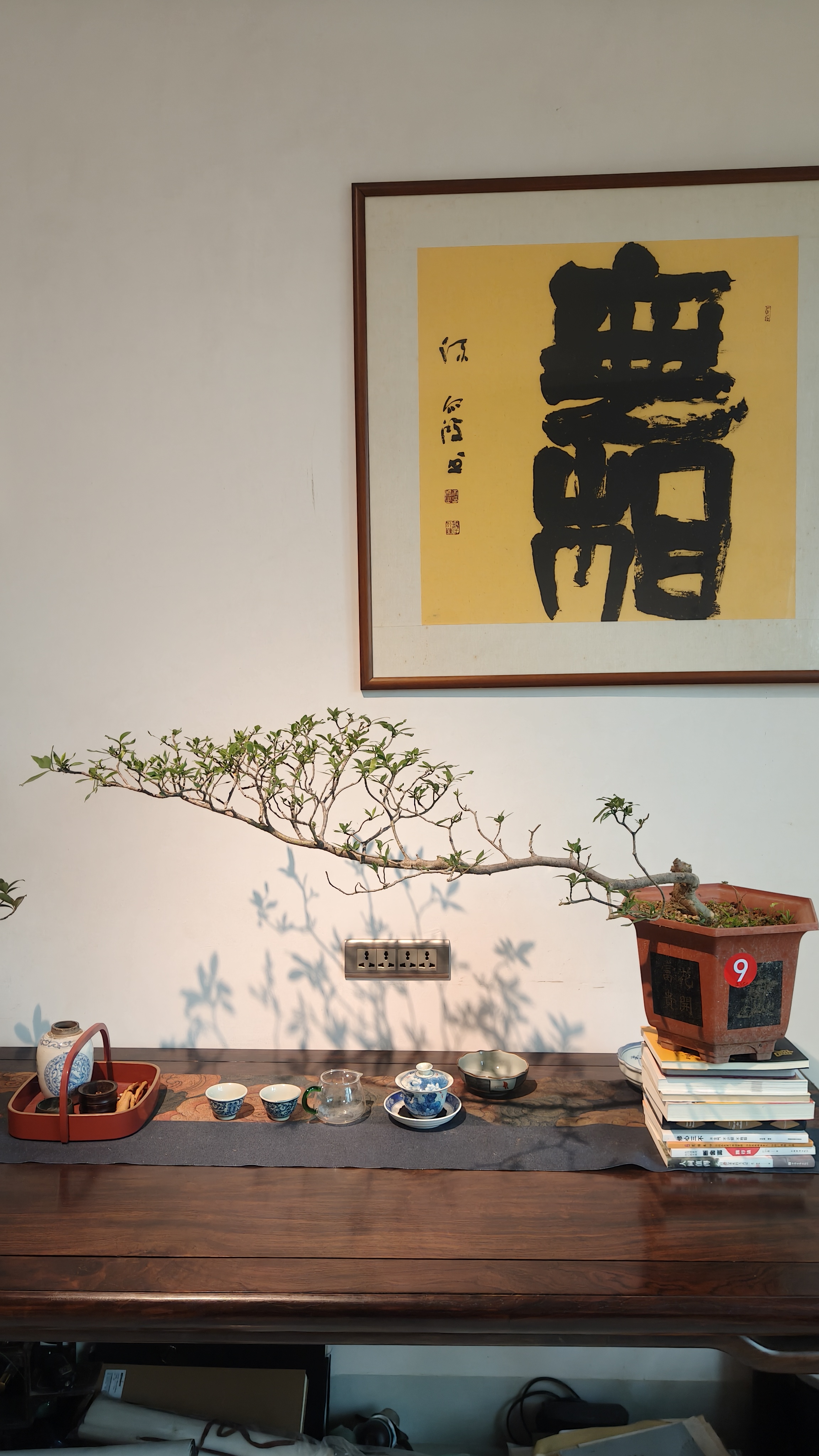 飘枝海岛栀子花熟桩精品带盆茶台飘