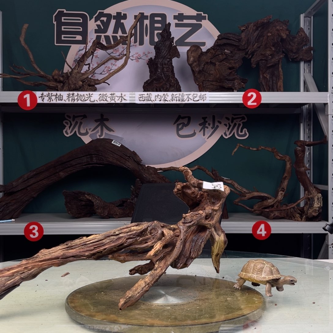 核桃木/黑胡桃（胡桃木）涵*64