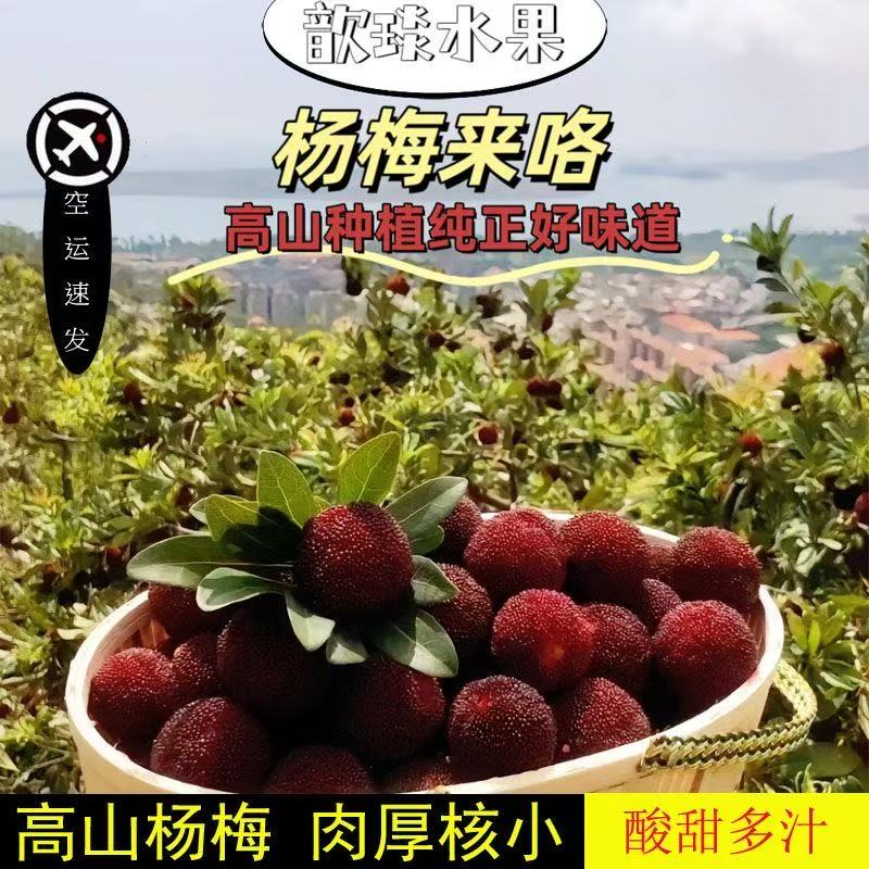 【顺丰/京东空运】龙海浮宫杨梅硬丝软丝新鲜现摘次日达0.5-4.5斤福建省