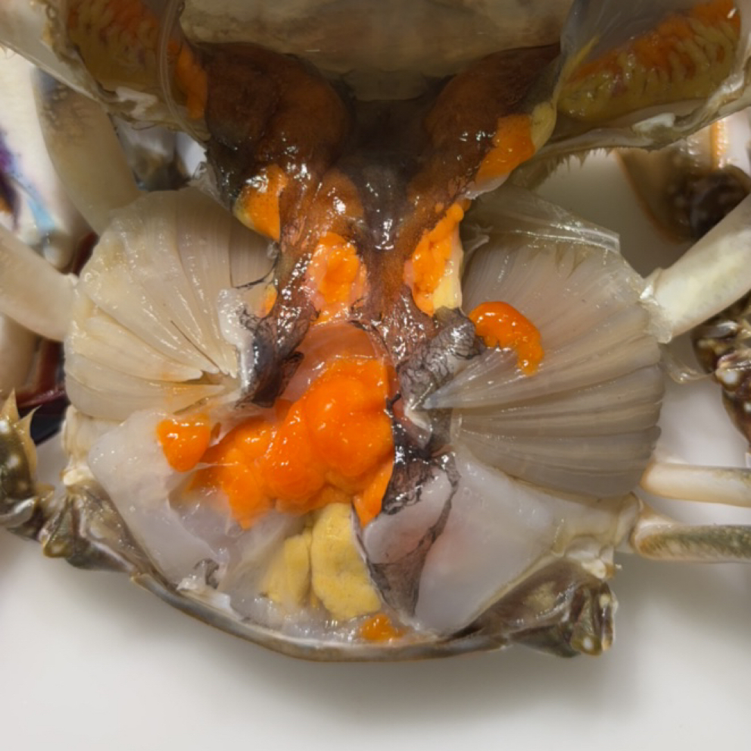 【冻蟹】带黄母飞蟹，保鲜发货4两左右一只，3斤7-8只，个别有掉腿