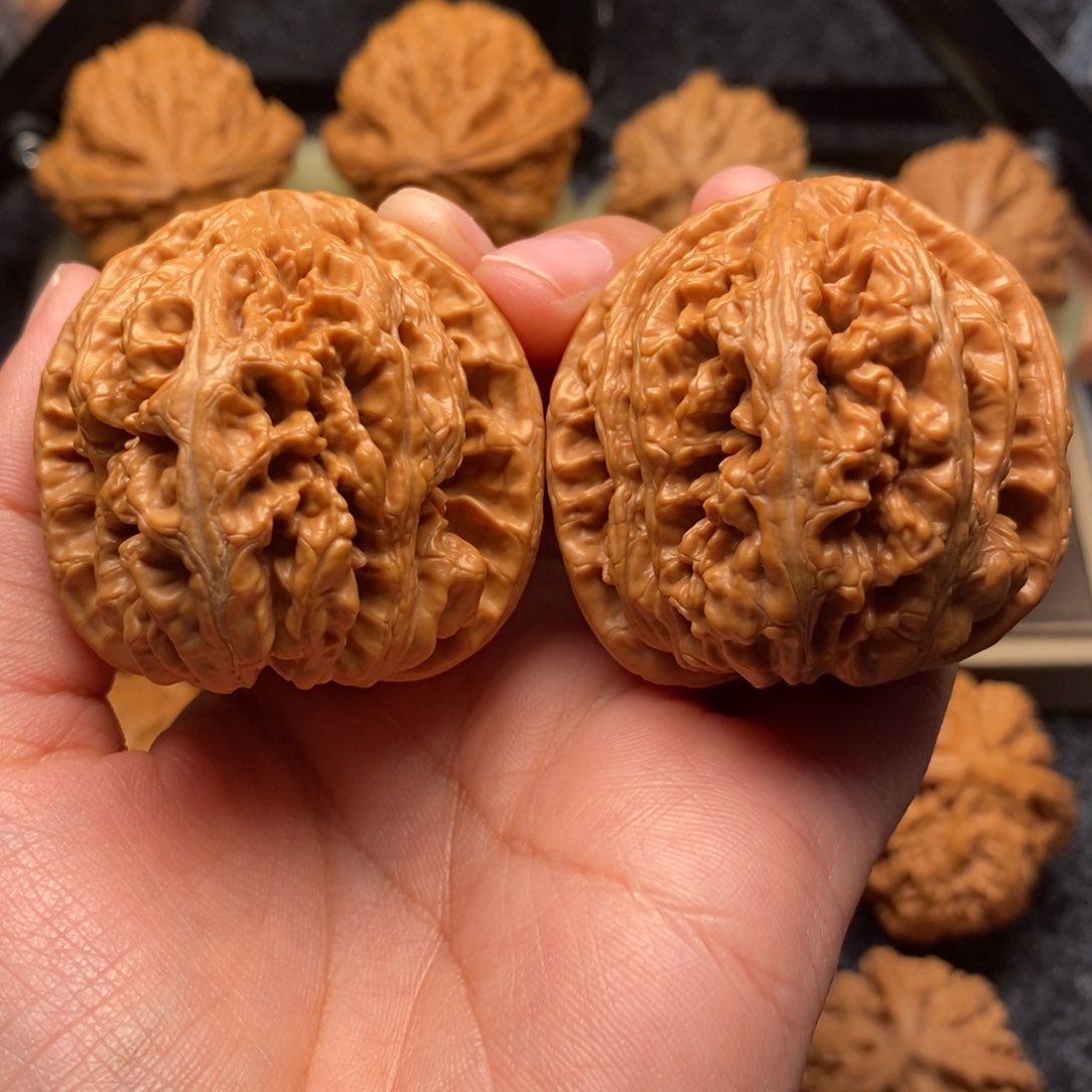 文玩核桃把件?****?毕业大粗筋45