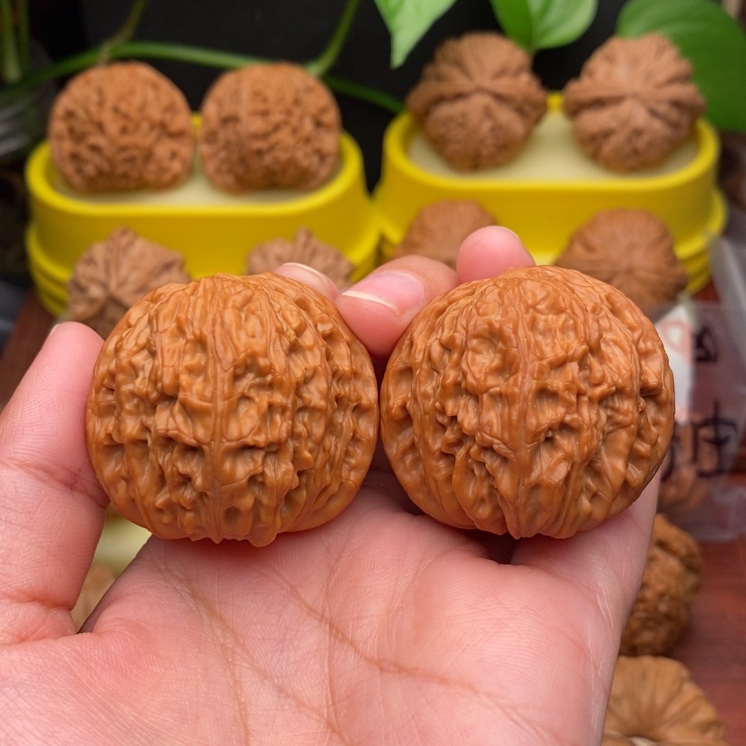 把件文玩核桃40“野生”红皮正磨