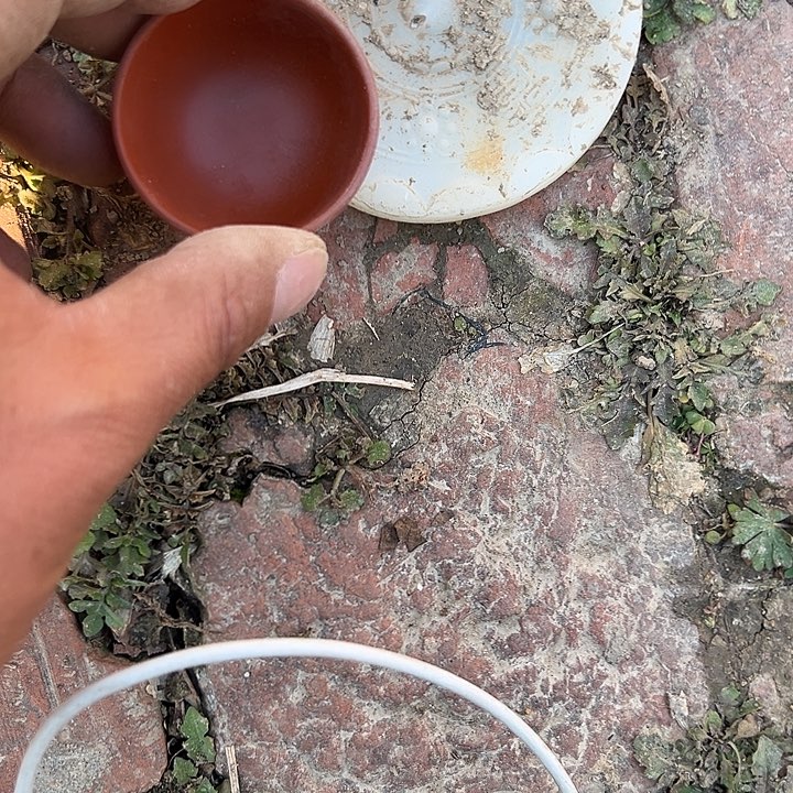 春***秋茶壶紫砂闪购物品一物一图